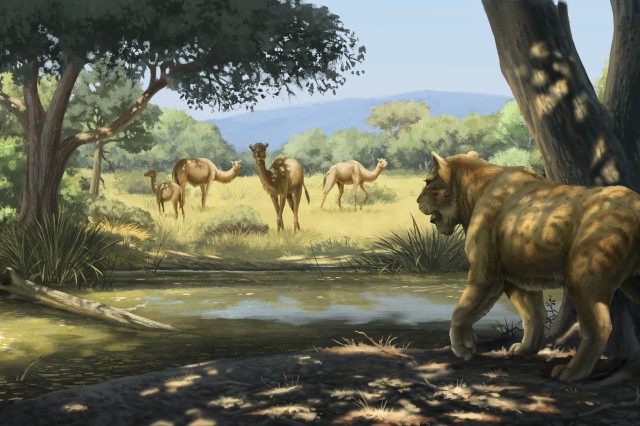 Extinction Paper Scene 1 saber toothed cat